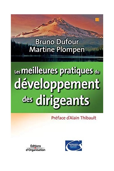 Les Meilleures Pratiques Du Développement Des Dirigeants